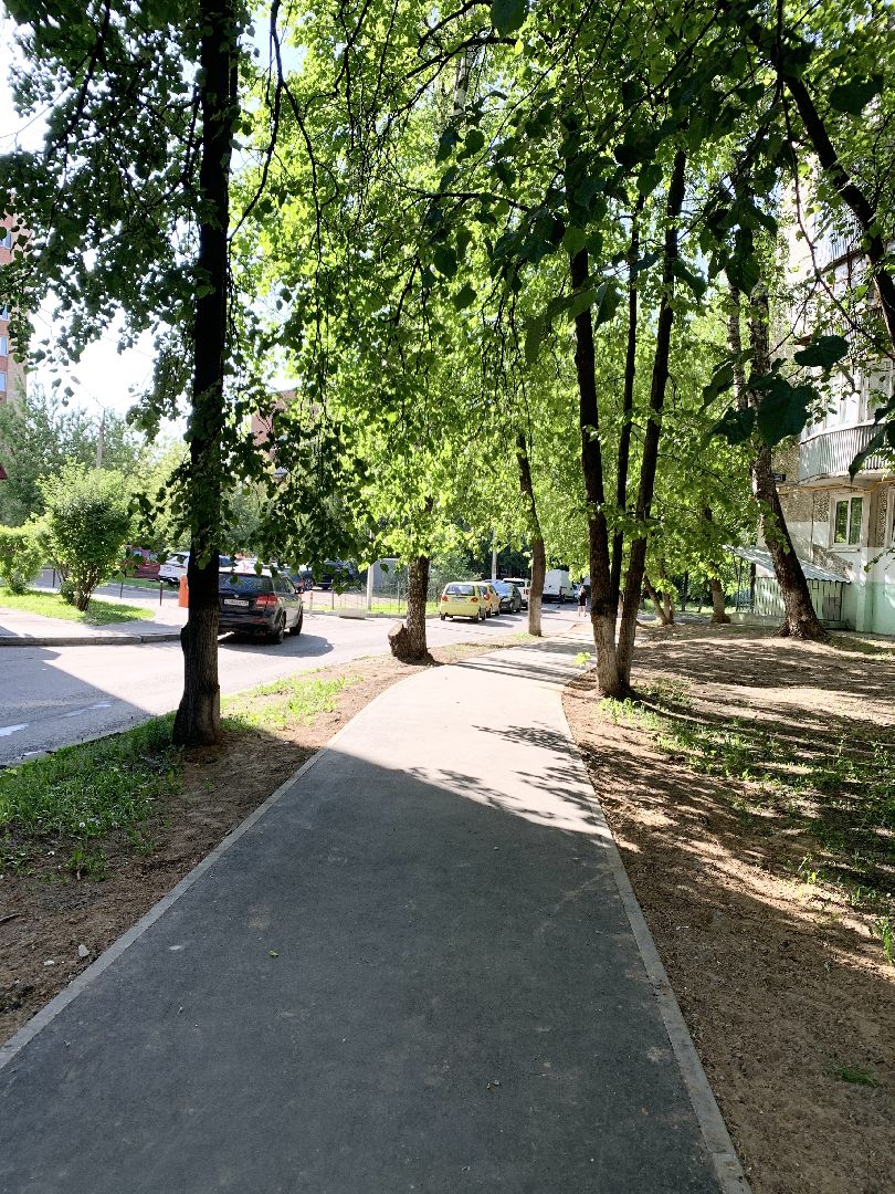 Балашиха, Подмосковье, Народные тропы, Программа Пешком,