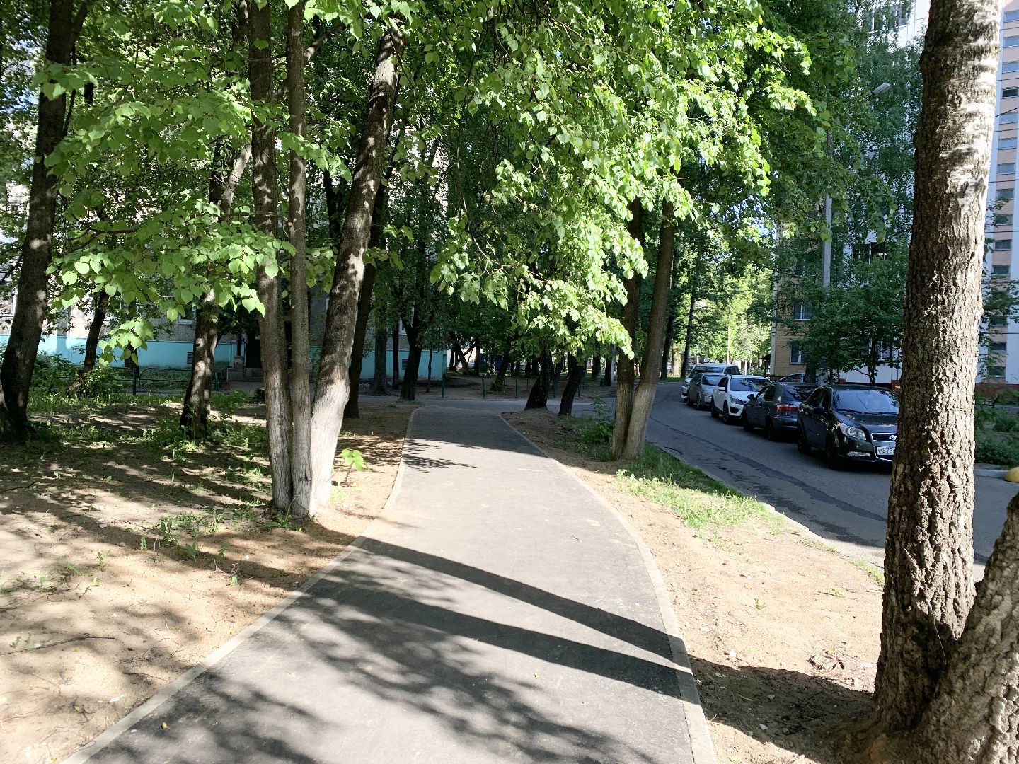 Балашиха, Подмосковье, Народные тропы, Программа Пешком,