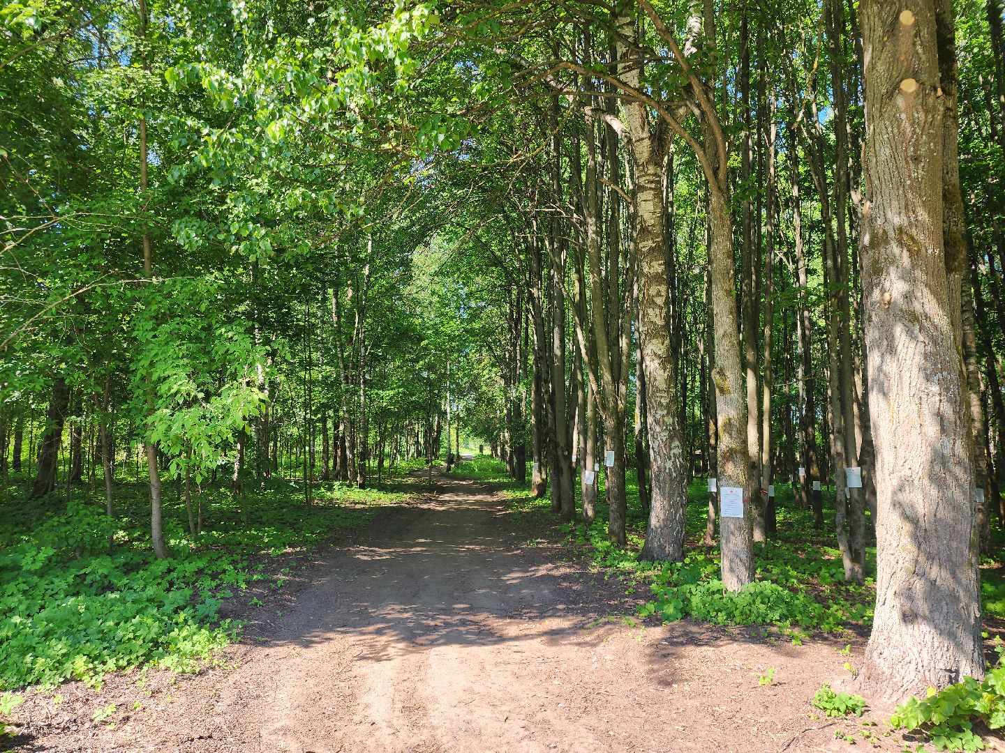 Звенигород, культура и туризм в подмосковье,