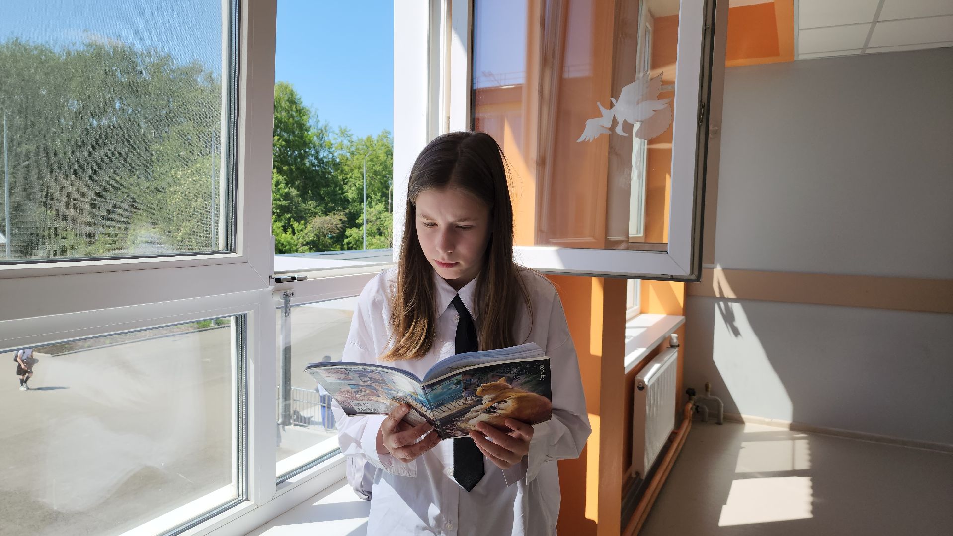 олимпиада по программированию, Лосино-Петровский, школа, дети, программирование,