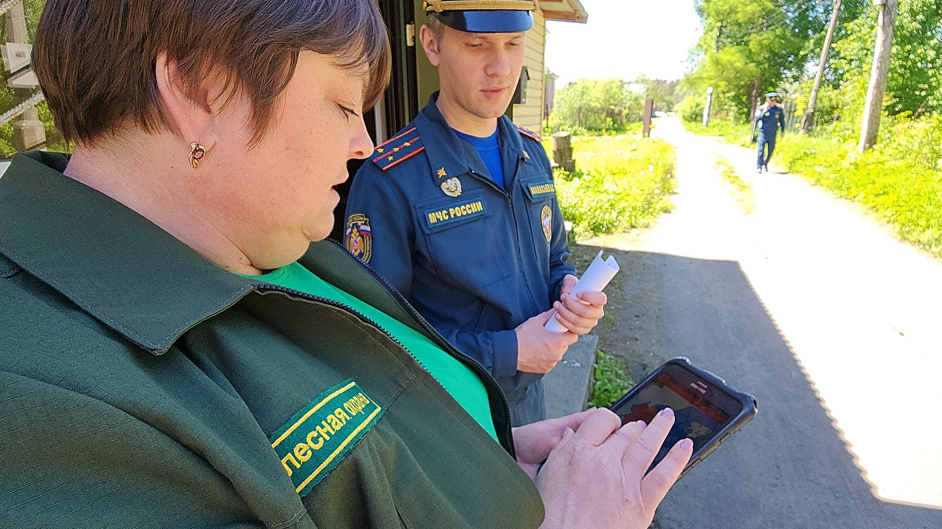 электросталь, безопасность, безопасность в лесу, пожароопасный сезон, мой город, жители города,