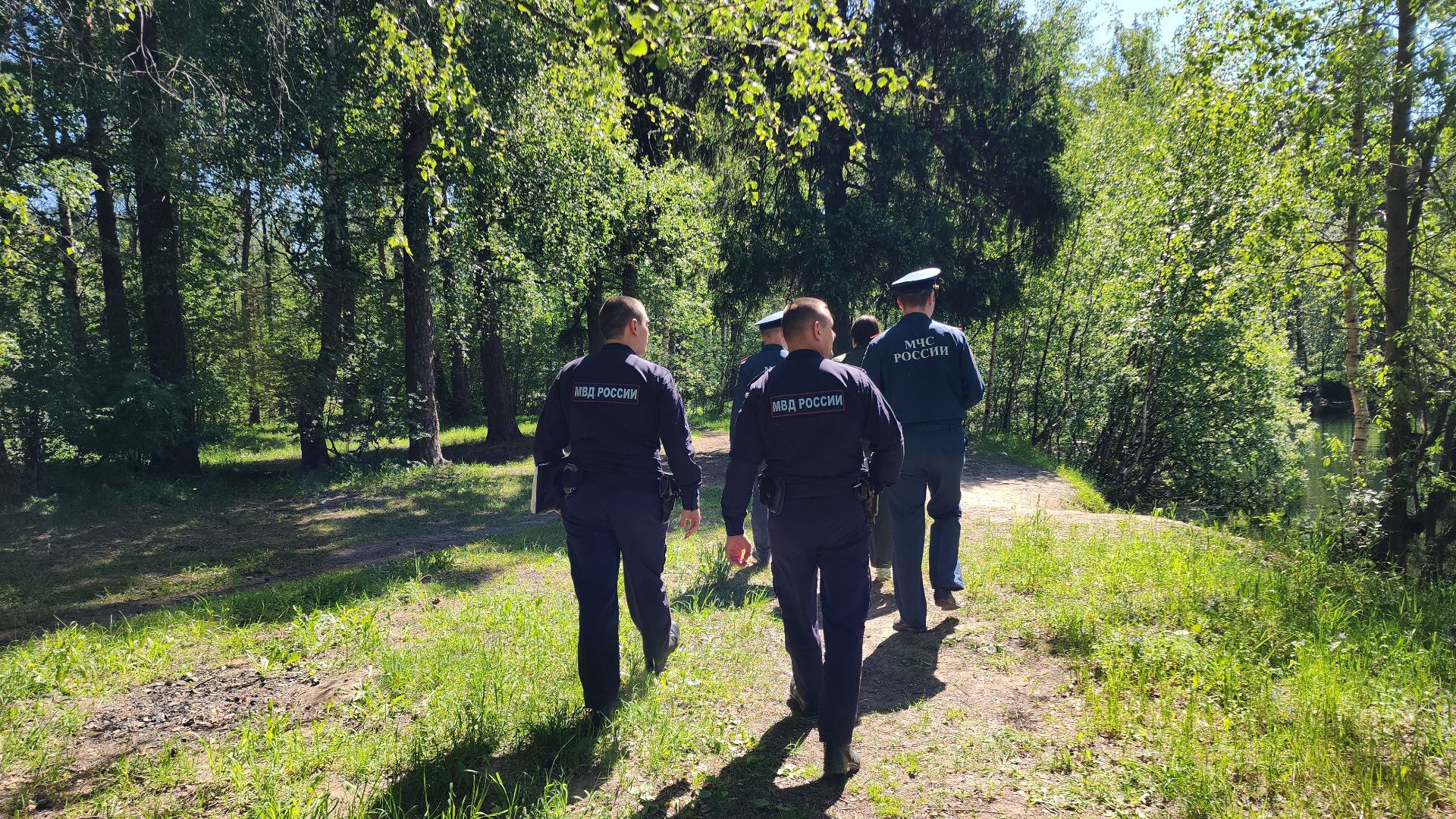 электросталь, безопасность, безопасность в лесу, пожароопасный сезон, мой город, жители города,