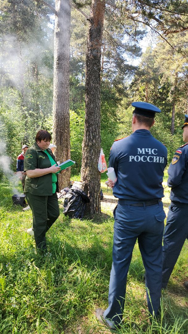 электросталь, безопасность, безопасность в лесу, пожароопасный сезон, мой город, жители города,