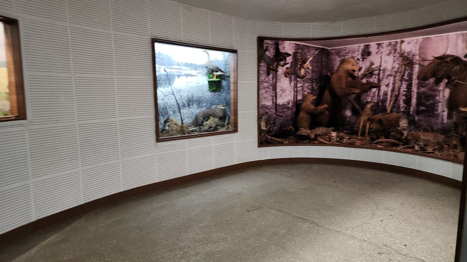 музей, история, Активное долголетие, Ногинск,