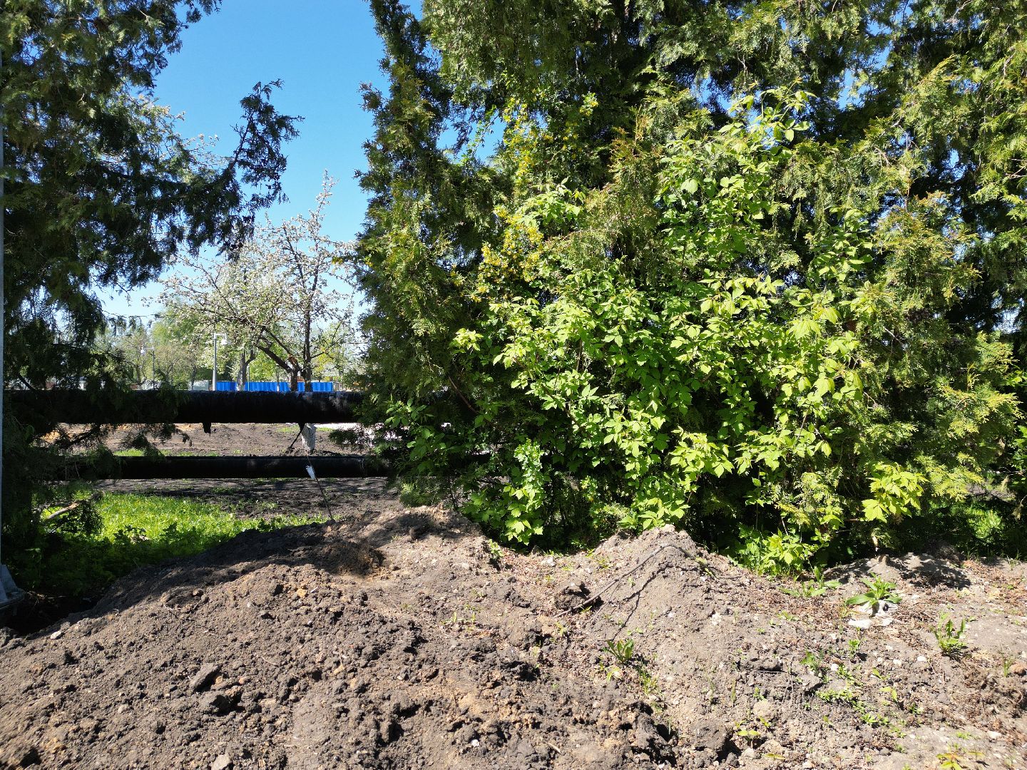 видео с коптера, парк, серебряные пруды,