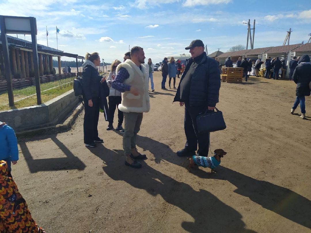 Истра, Подмосковье, Сыр, Фестиваль, Ярмарка, Олег Сирота, Фермерские продукты, фермеры, фермы