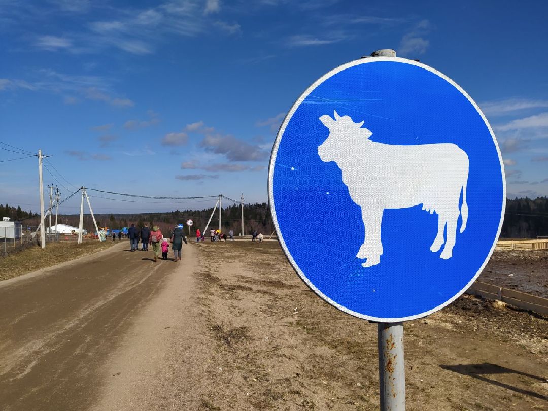 Истра, Подмосковье, Сыр, Фестиваль, Ярмарка, Олег Сирота, Фермерские продукты, фермеры, фермы