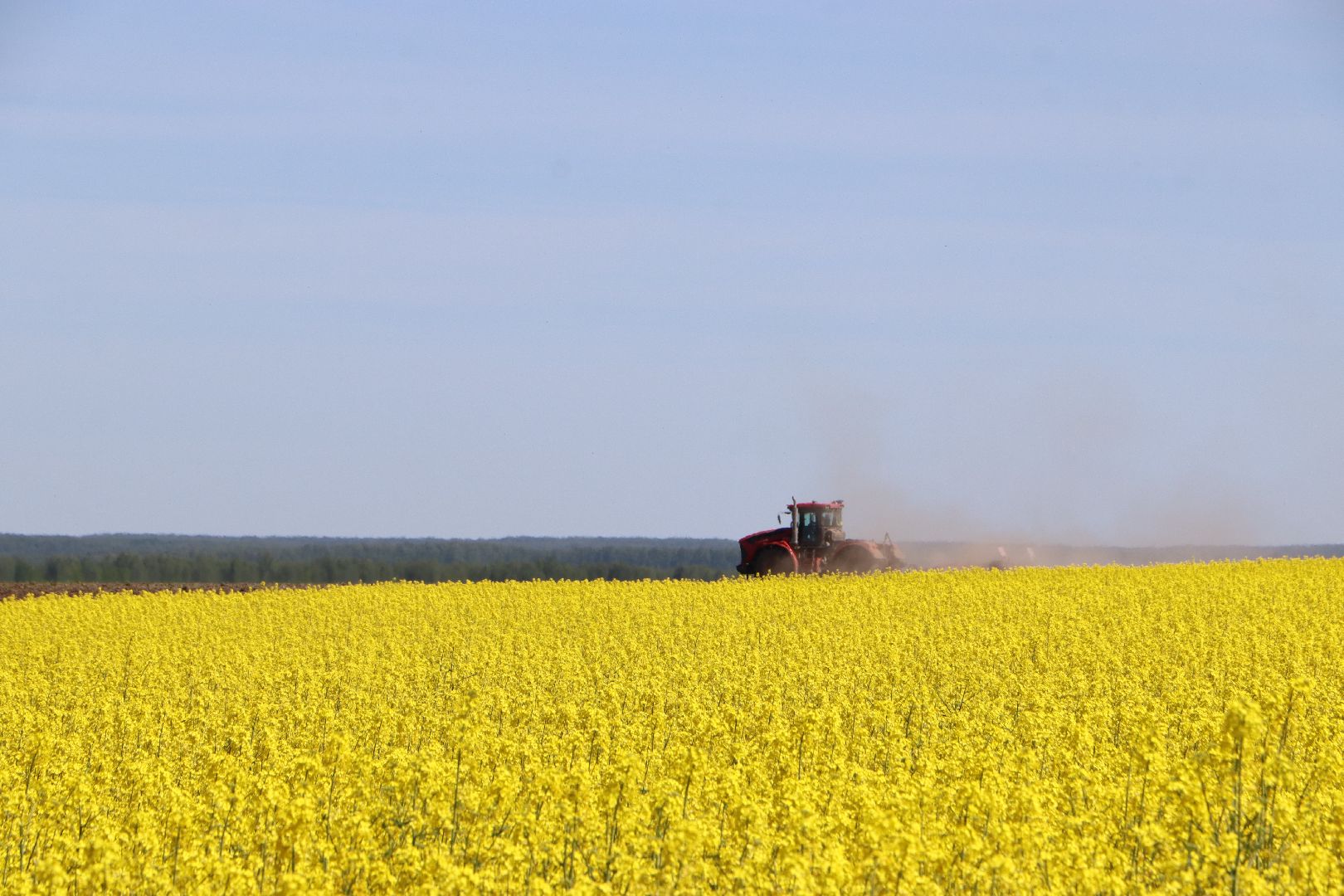 Серебряные Пруды, посевная 2024, яровой сев, аграрии Серебряных Прудов,