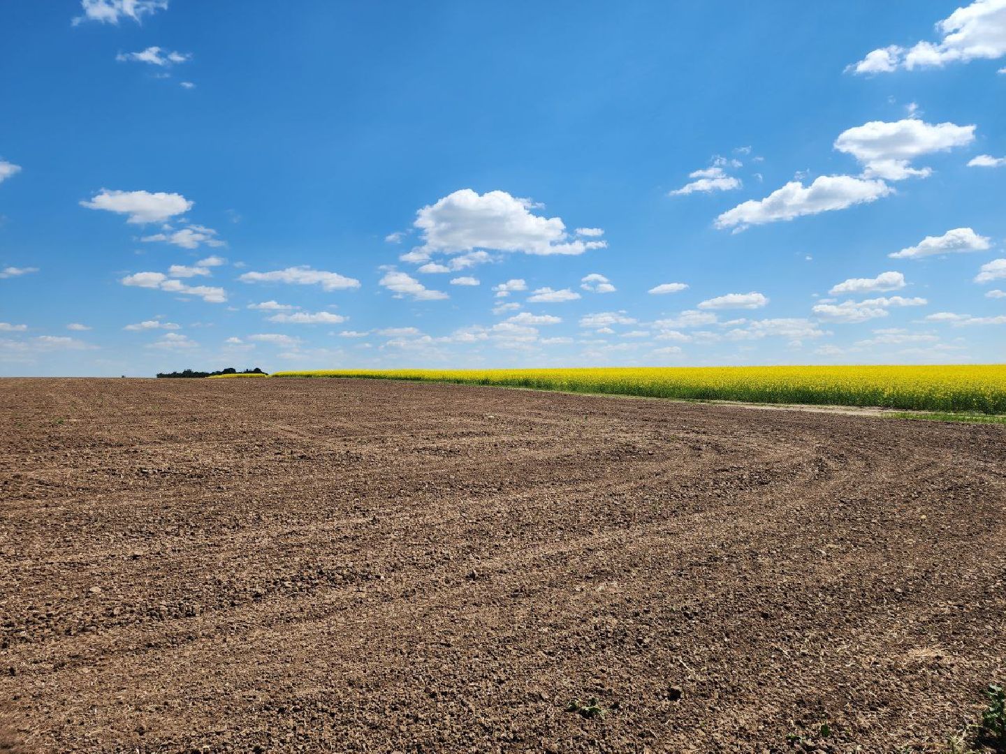 Серебряные Пруды, посевная 2024, яровой сев, аграрии Серебряных Прудов,