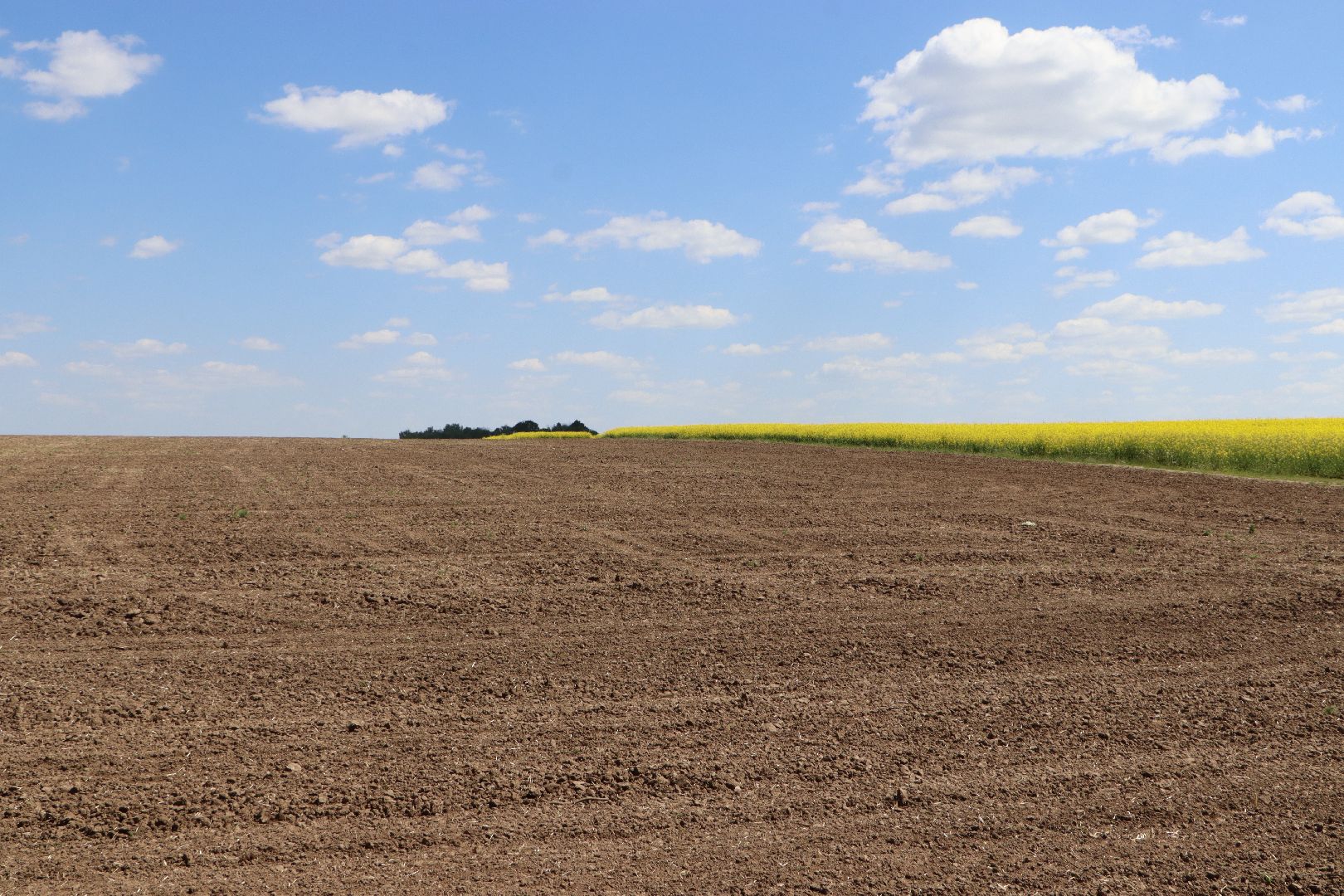Серебряные Пруды, посевная 2024, яровой сев, аграрии Серебряных Прудов,