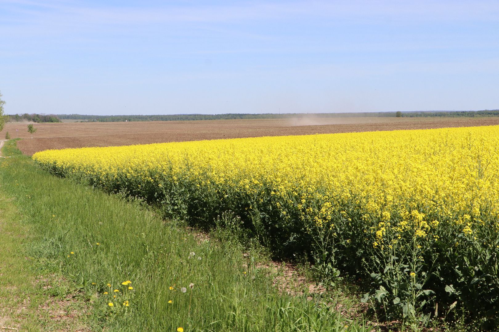 Серебряные Пруды, посевная 2024, яровой сев, аграрии Серебряных Прудов,