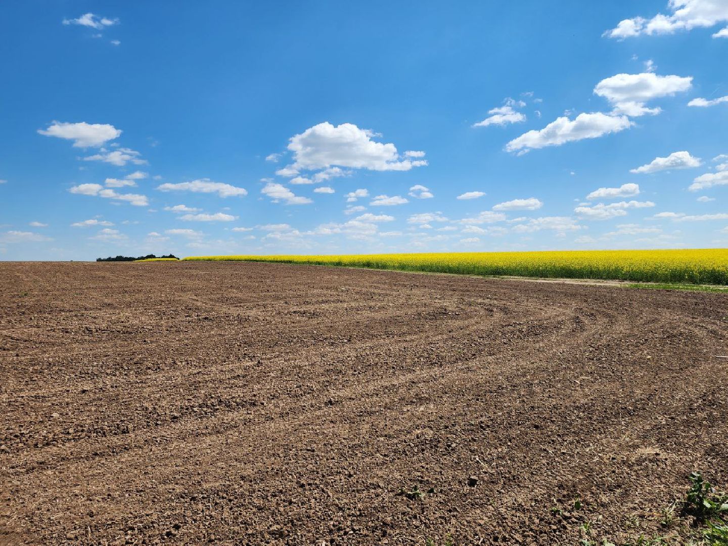 Серебряные Пруды, посевная 2024, яровой сев, аграрии Серебряных Прудов,