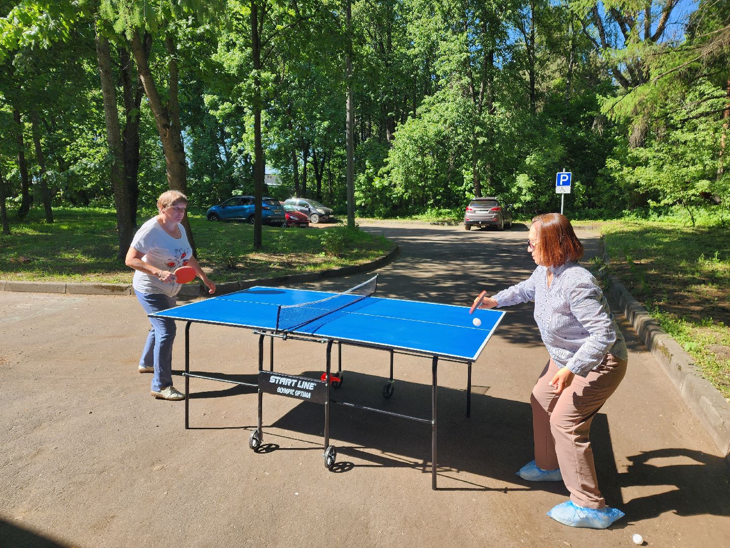 красноармейск, г.о. пушкинский, настольный теннис, активное долголетие,