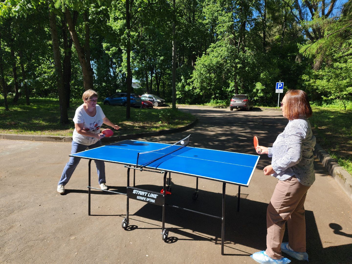 красноармейск, г.о. пушкинский, настольный теннис, активное долголетие,