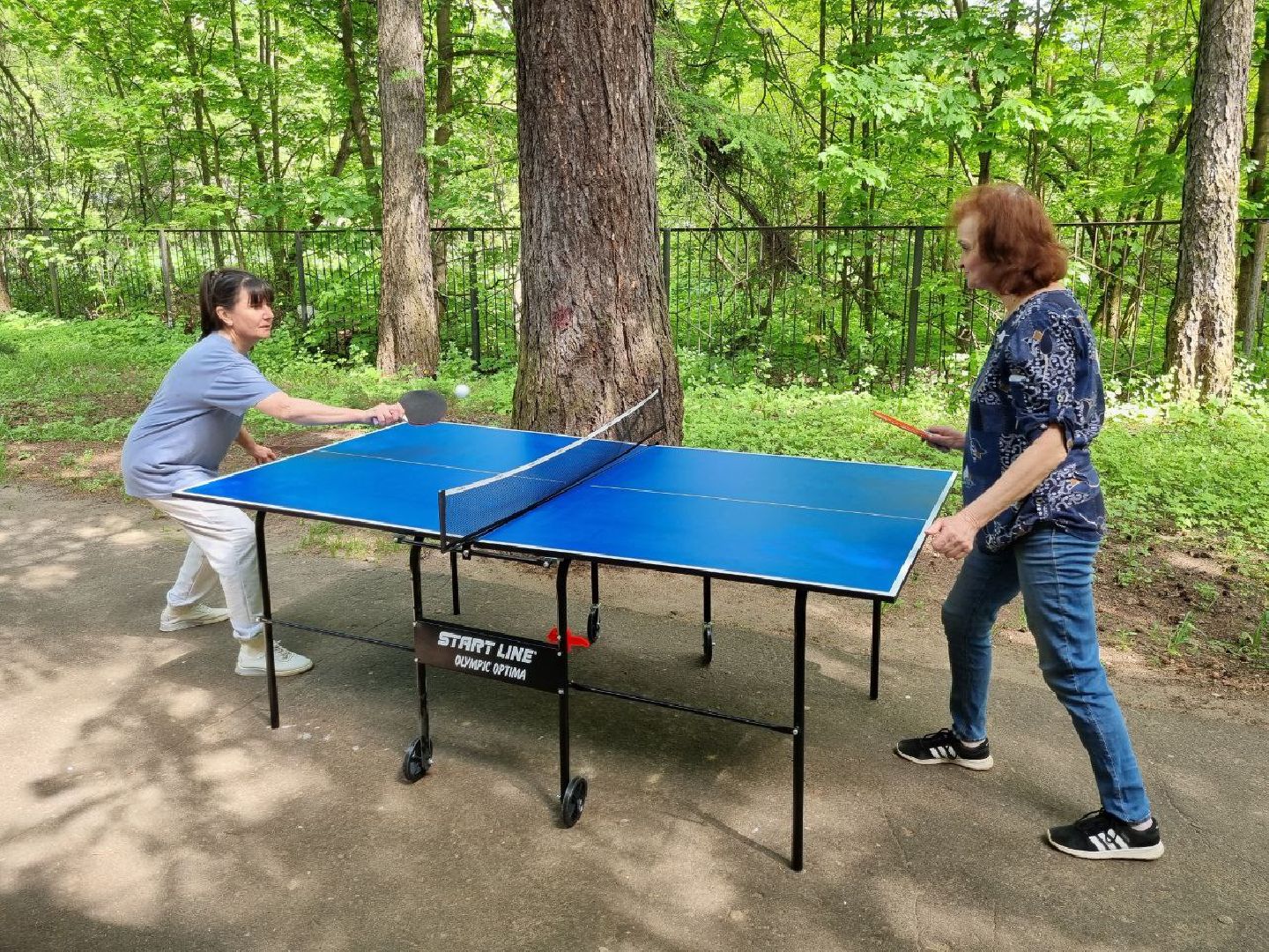 красноармейск, г.о. пушкинский, настольный теннис, активное долголетие,