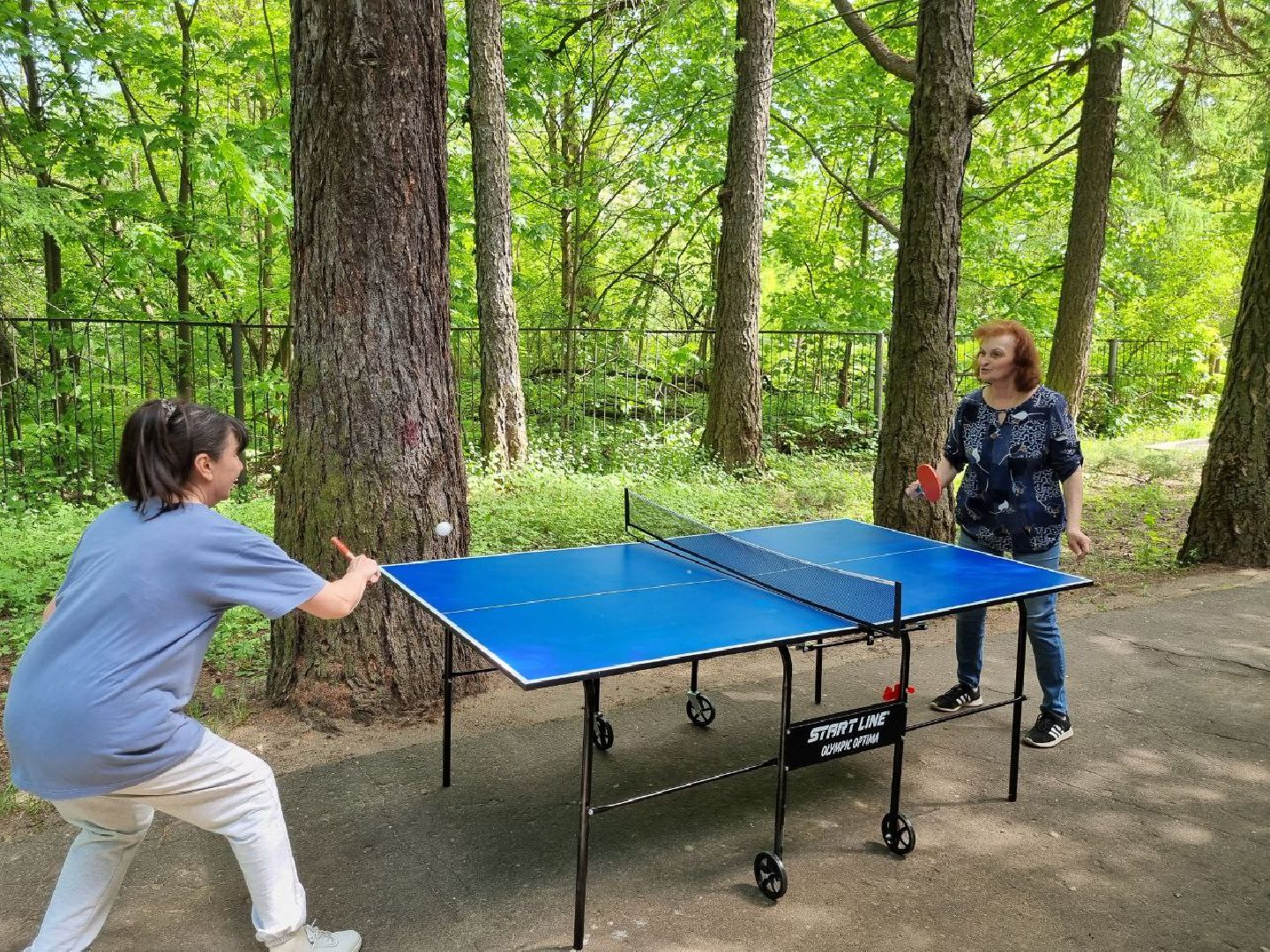 красноармейск, г.о. пушкинский, настольный теннис, активное долголетие,