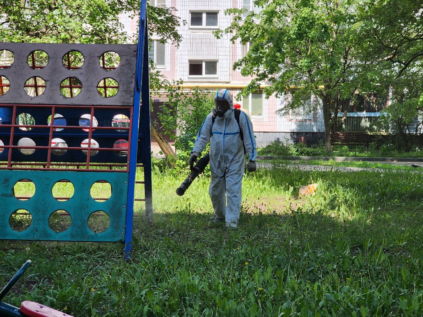 Черноголовка, клещи,