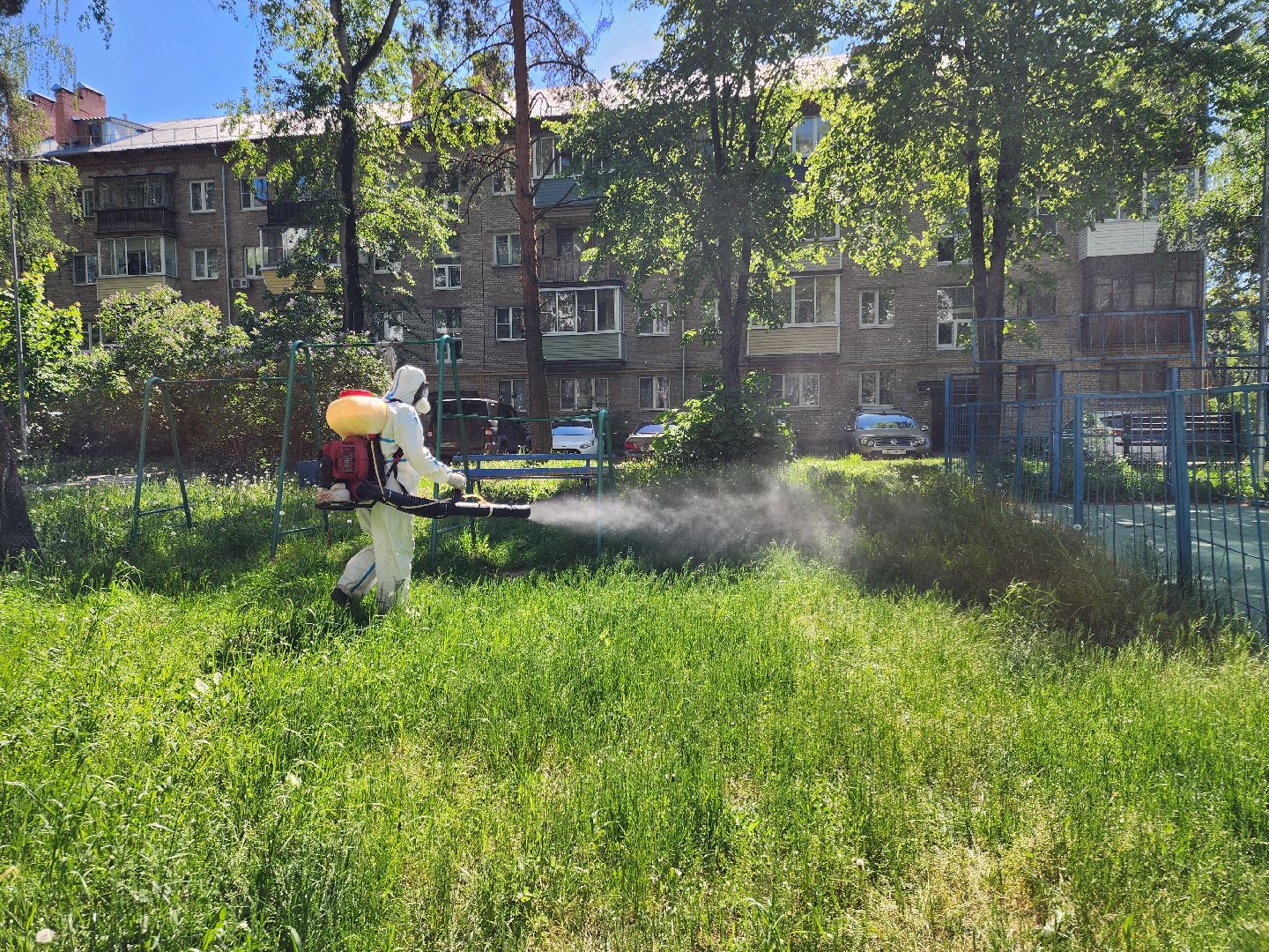 Черноголовка, клещи,