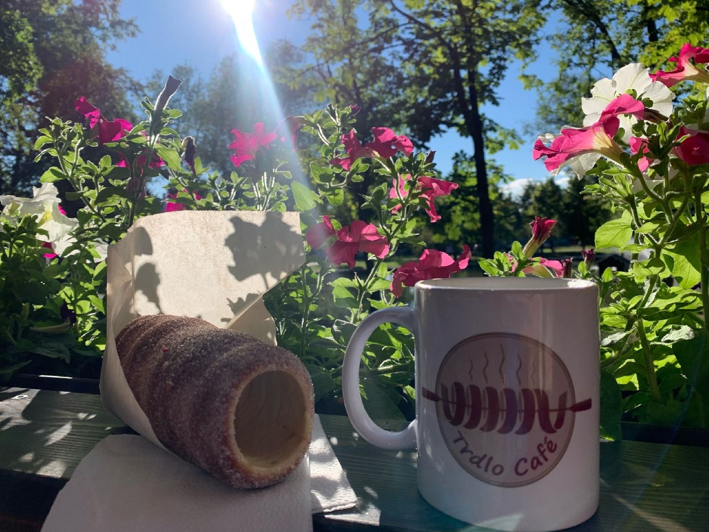 серпухов, подмосковье, кафе с верандой, парки Подмосковья, трдельник,