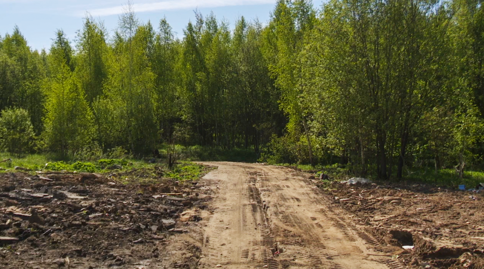 Клин, общество, благоустройство, парки, Подмосковье,