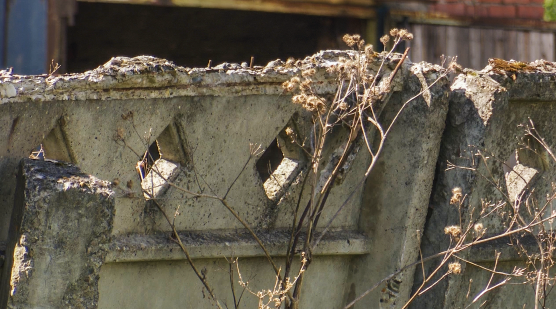 Клин, общество, благоустройство, парки, Подмосковье,