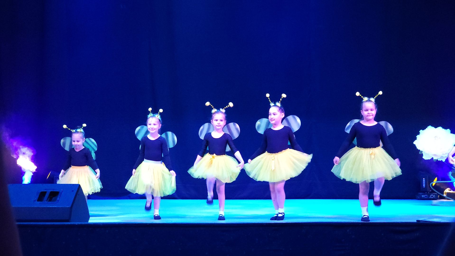 культура, отчетный концерт, детская школа искусств, Лосино-Петровский,