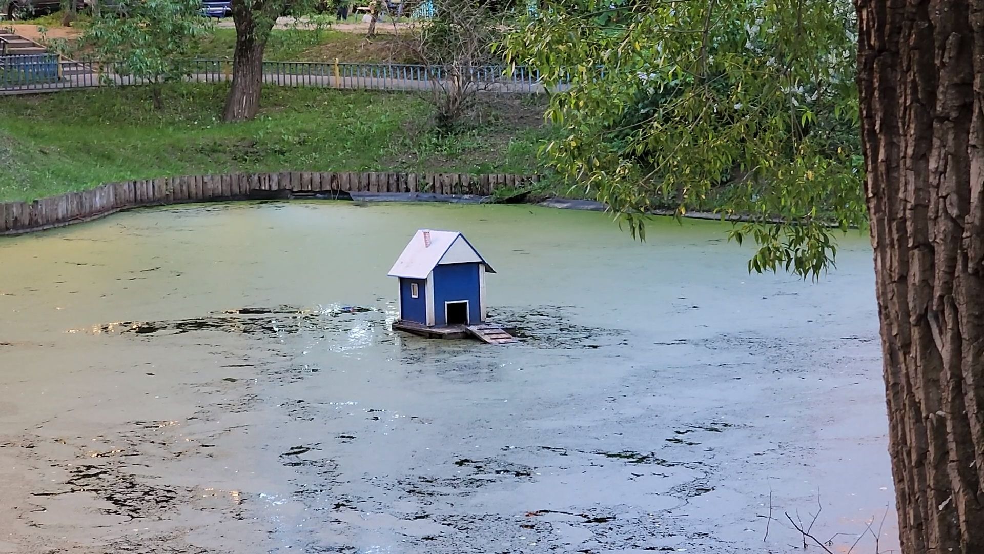 Одинцово, олбщество, пруд, двор, благоустройство, славкин пруд,