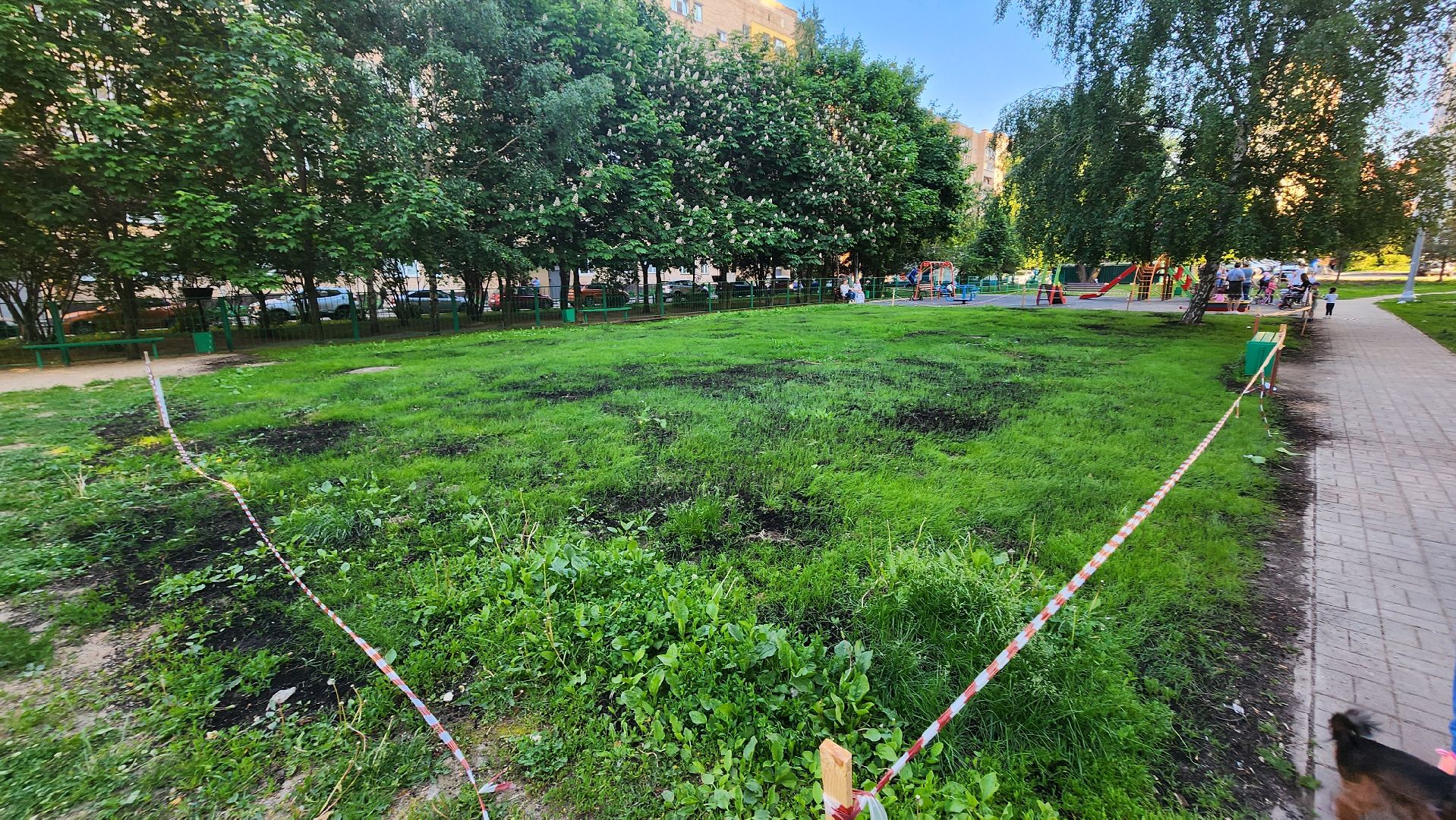 долгопрудный, выездная администрация, Спортивная улица, детская площадка,