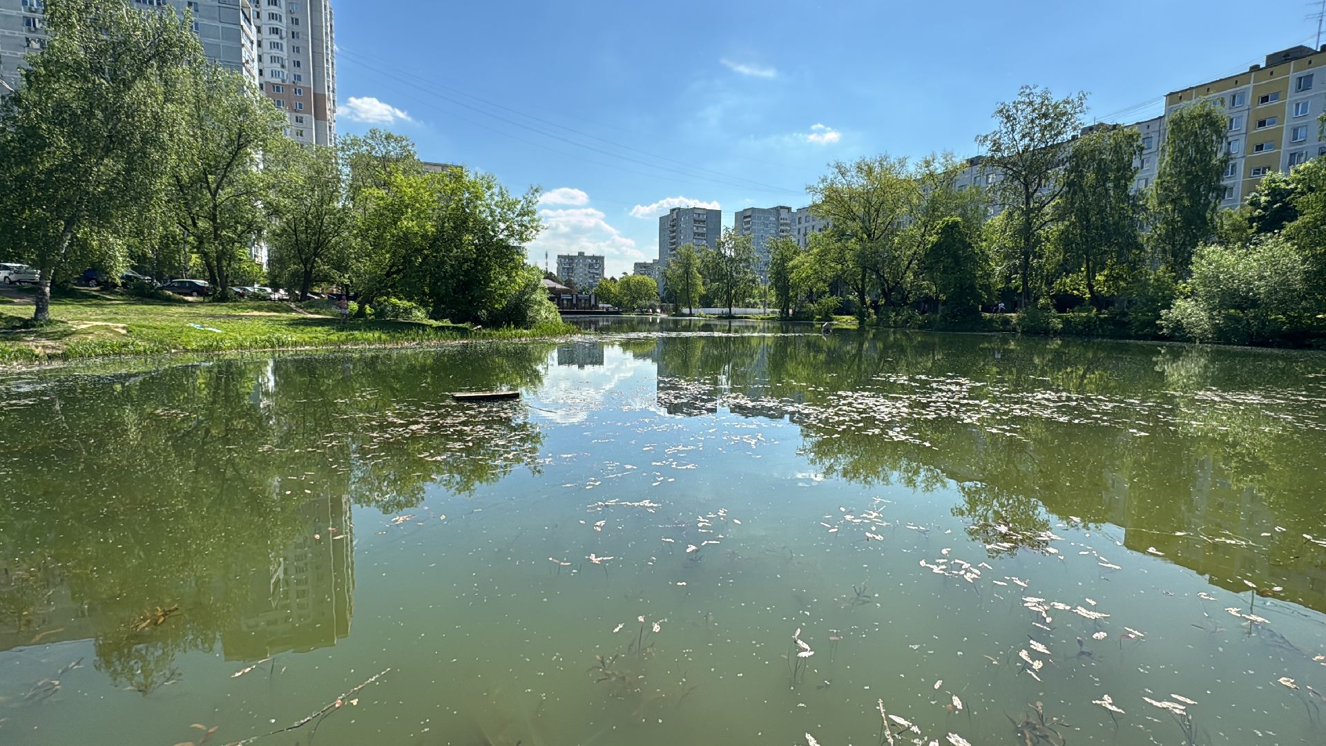 Одинцово, Комсомольский пруд, Благоустройство пруда,