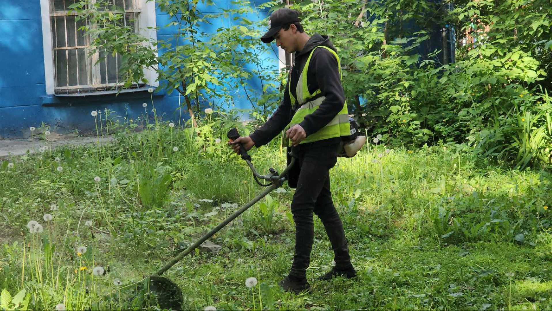 люберцы, управляющая компания, покос травы,