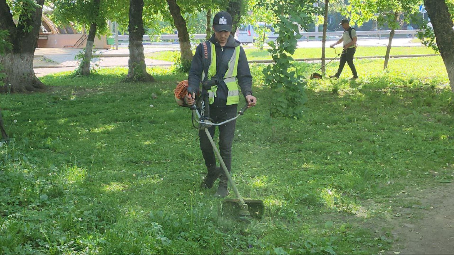 люберцы, управляющая компания, покос травы,