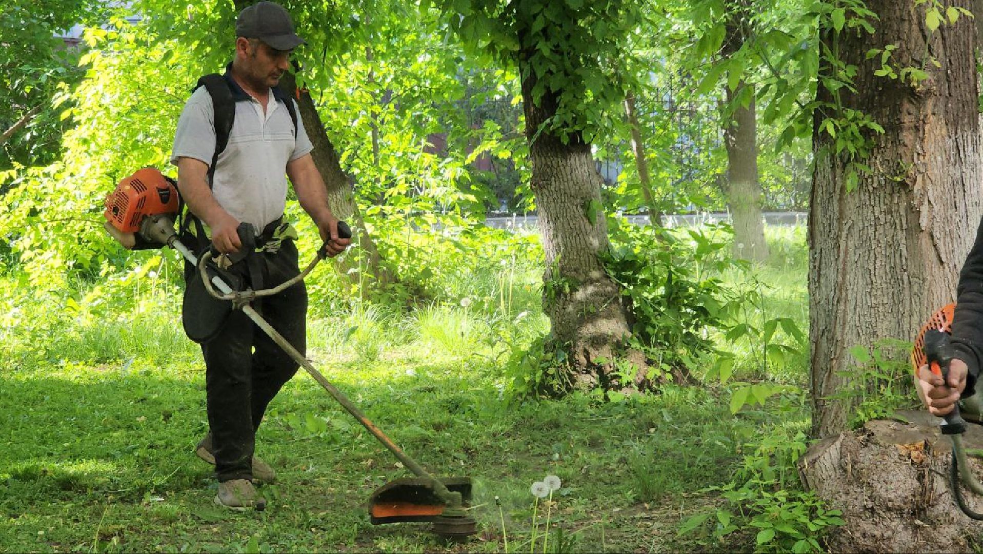 люберцы, управляющая компания, покос травы,