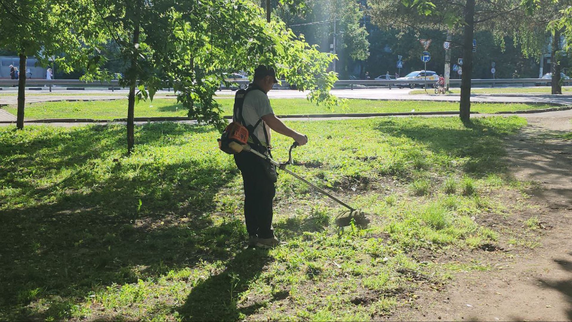 люберцы, управляющая компания, покос травы,