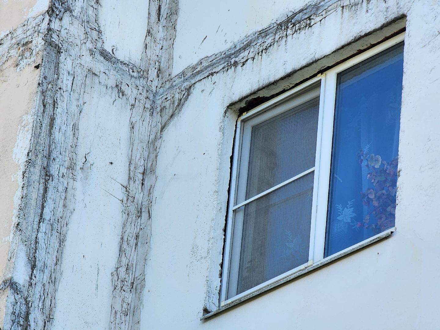 выездная администрация, колюбакино, ремонт фасада, Руза, рузский городской округ, московская область, подмосковье,