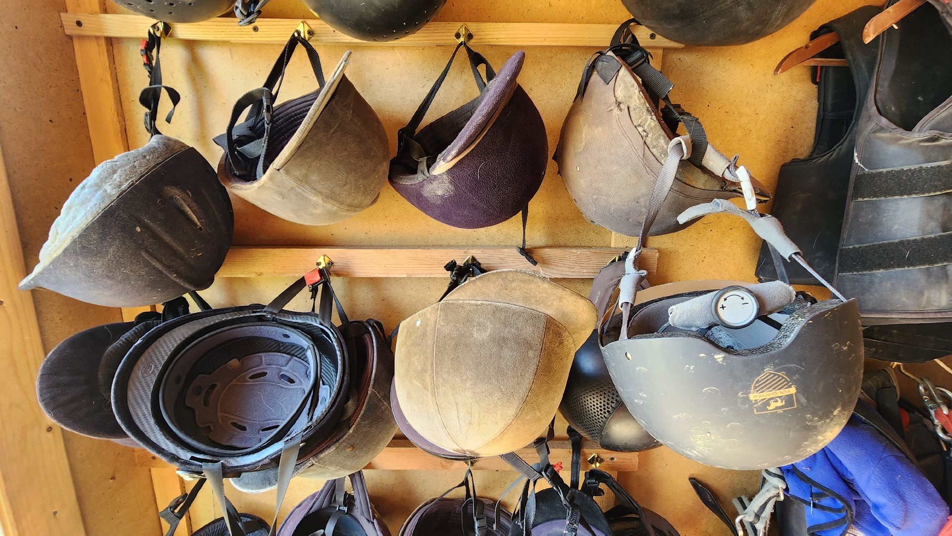 Туризм, отдых, лошади, сельское хозяйство,