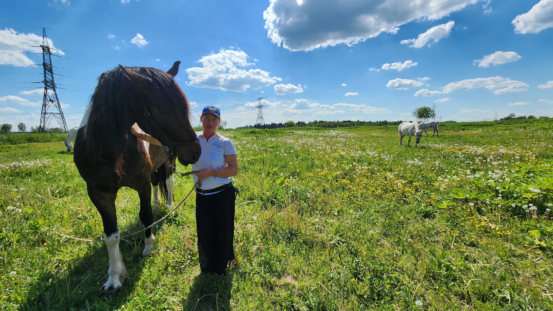 Туризм, отдых, лошади, сельское хозяйство,