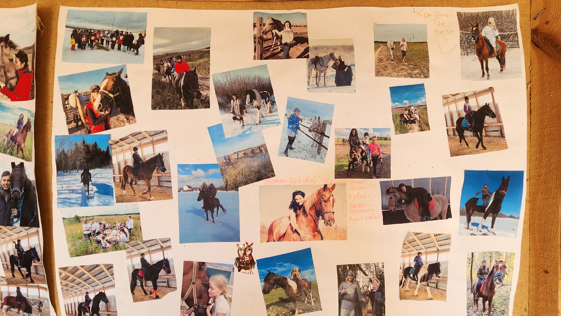 Туризм, отдых, лошади, сельское хозяйство,