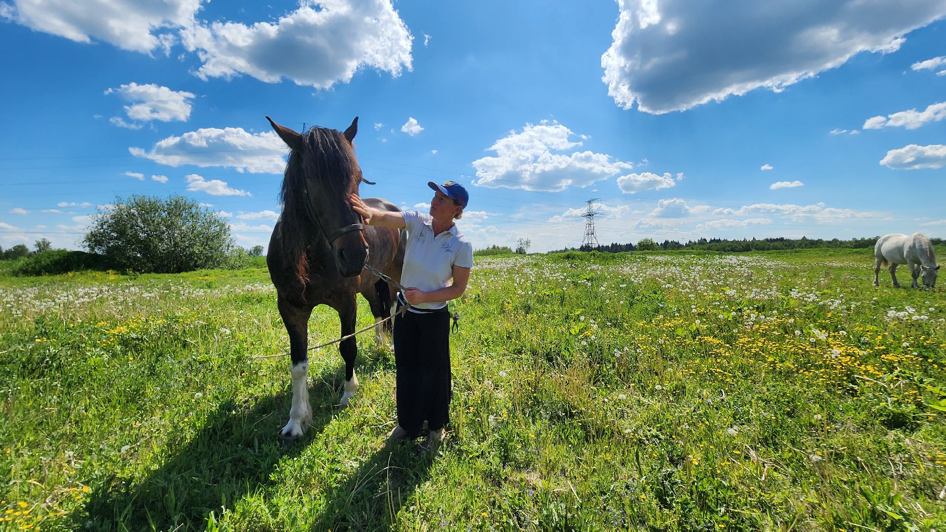 Туризм, отдых, лошади, сельское хозяйство,