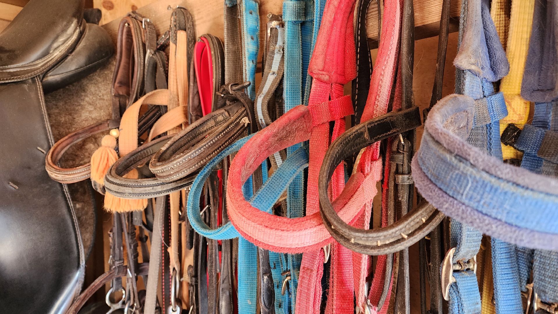 Туризм, отдых, лошади, сельское хозяйство,