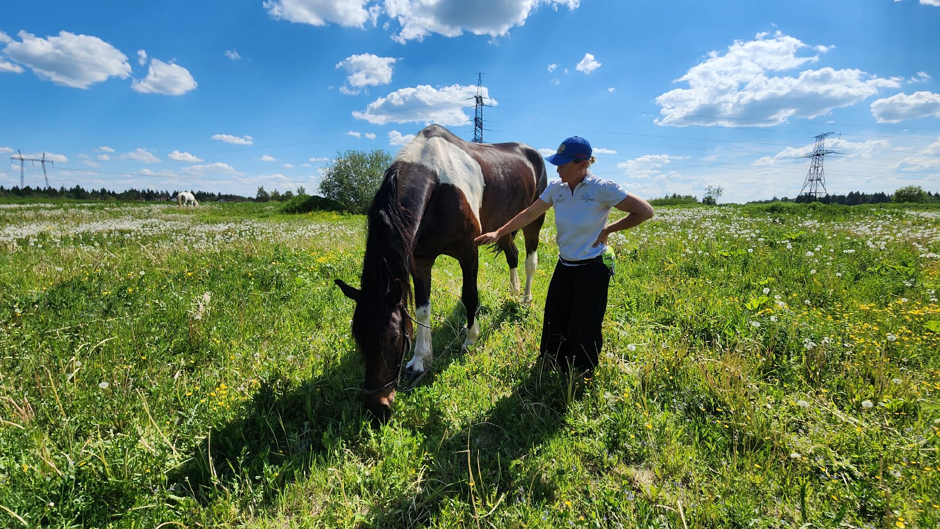 Туризм, отдых, лошади, сельское хозяйство,