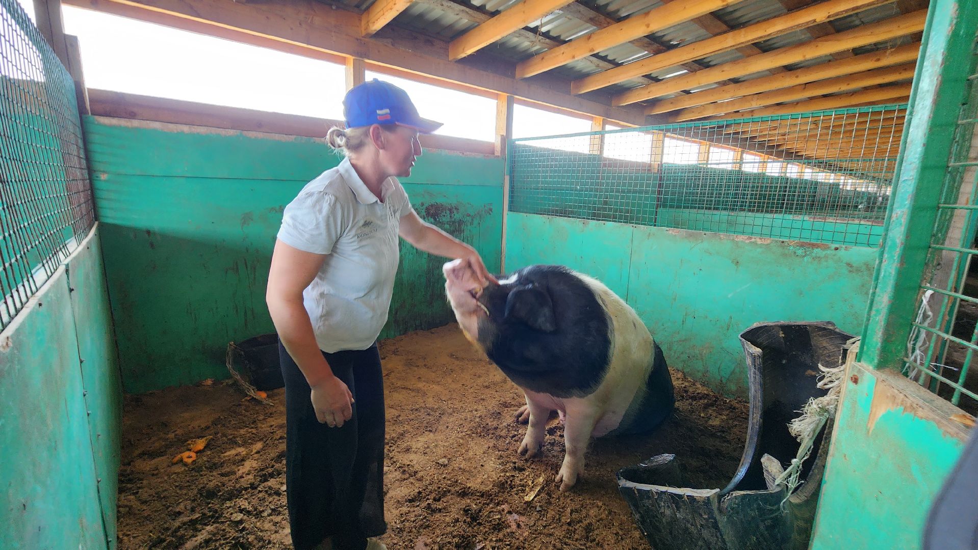 Туризм, отдых, лошади, сельское хозяйство,