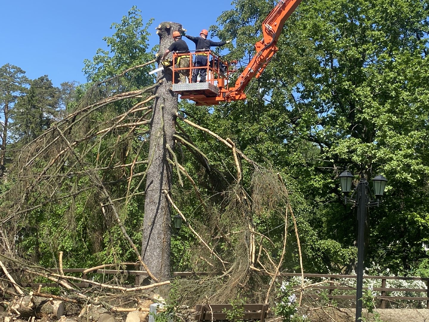 благоустройство власиха, жук короед-типограф, пляжная зона Власихи, пляж во Власихе, безопасное лето, безопасный отдых,