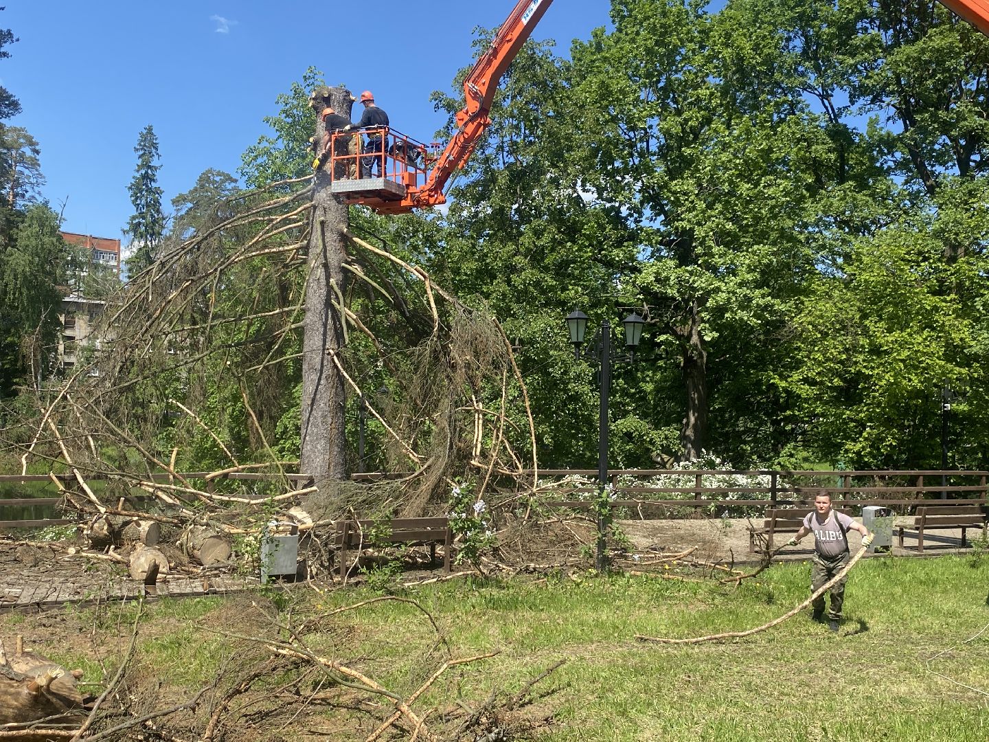 благоустройство власиха, жук короед-типограф, пляжная зона Власихи, пляж во Власихе, безопасное лето, безопасный отдых,