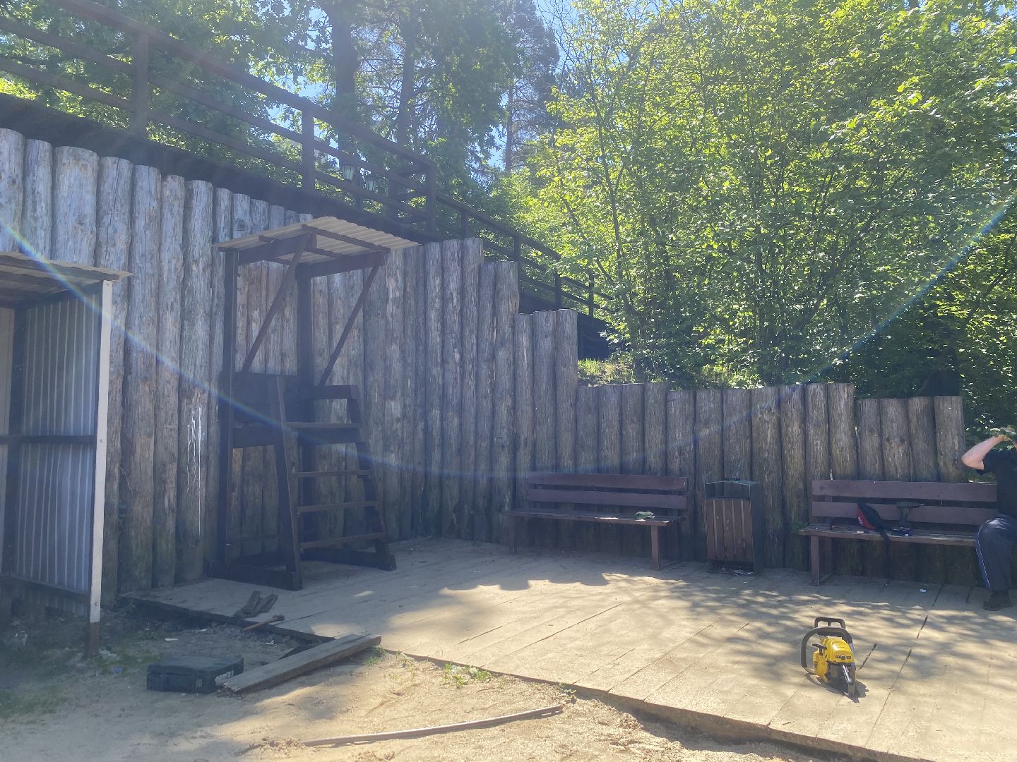 благоустройство власиха, жук короед-типограф, пляжная зона Власихи, пляж во Власихе, безопасное лето, безопасный отдых,