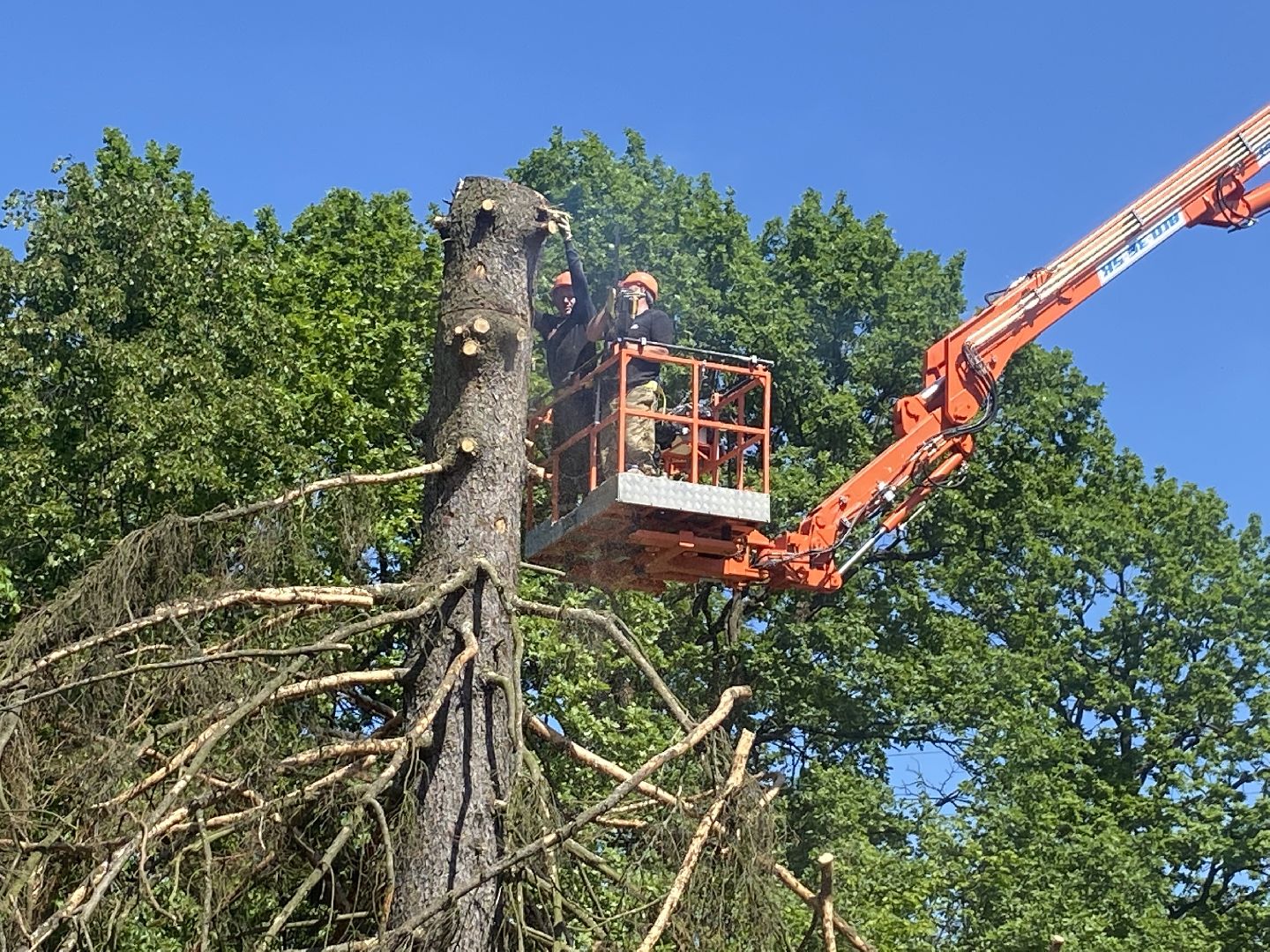 благоустройство власиха, жук короед-типограф, пляжная зона Власихи, пляж во Власихе, безопасное лето, безопасный отдых,