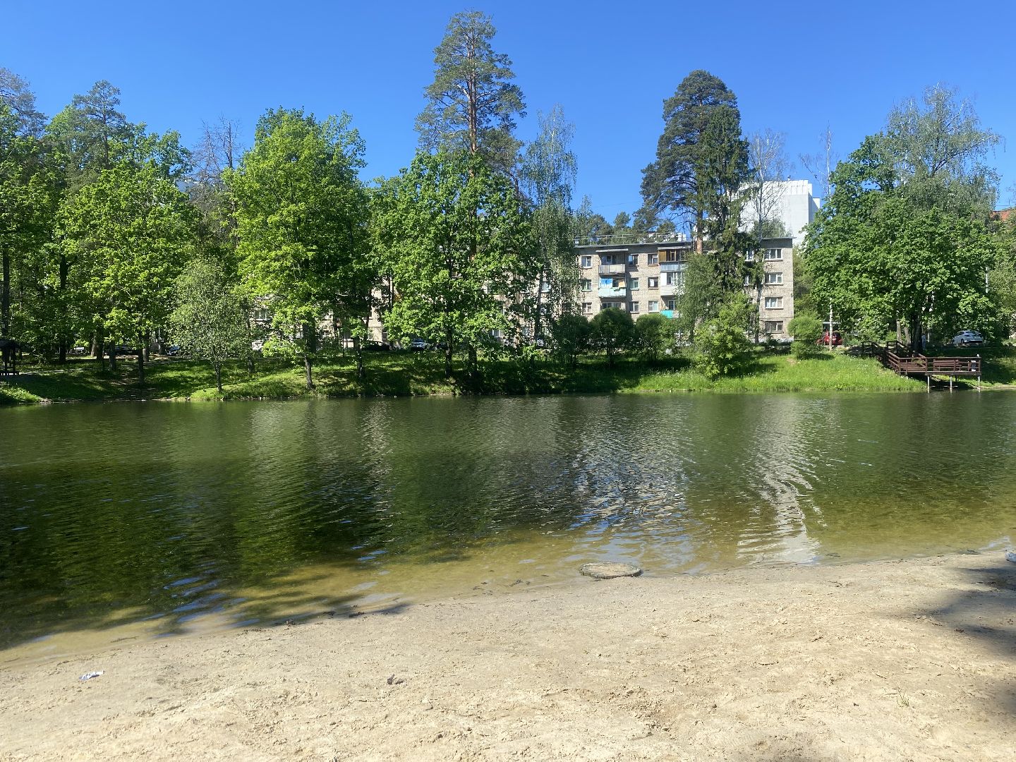 благоустройство власиха, жук короед-типограф, пляжная зона Власихи, пляж во Власихе, безопасное лето, безопасный отдых,