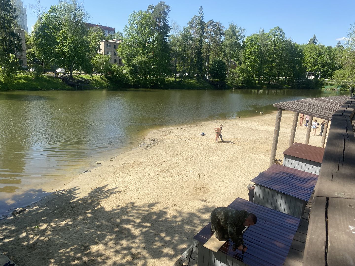 благоустройство власиха, жук короед-типограф, пляжная зона Власихи, пляж во Власихе, безопасное лето, безопасный отдых,