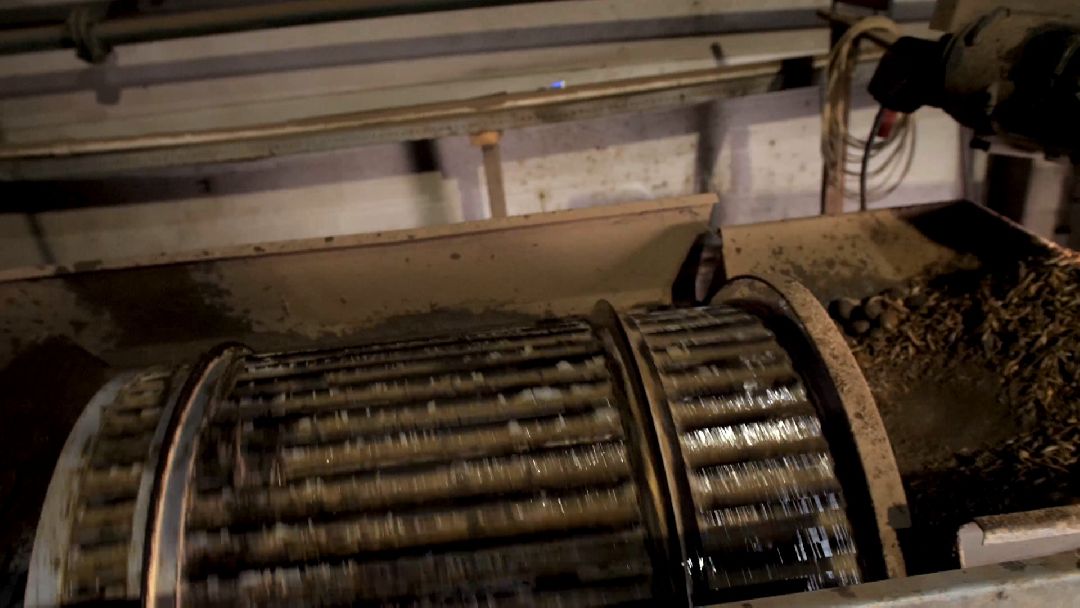 Коломенский район, сельское хозяйство, картофель, чипсы