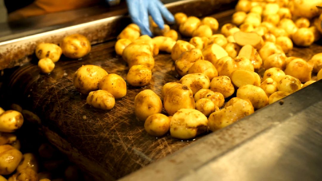 Коломенский район, сельское хозяйство, картофель, чипсы