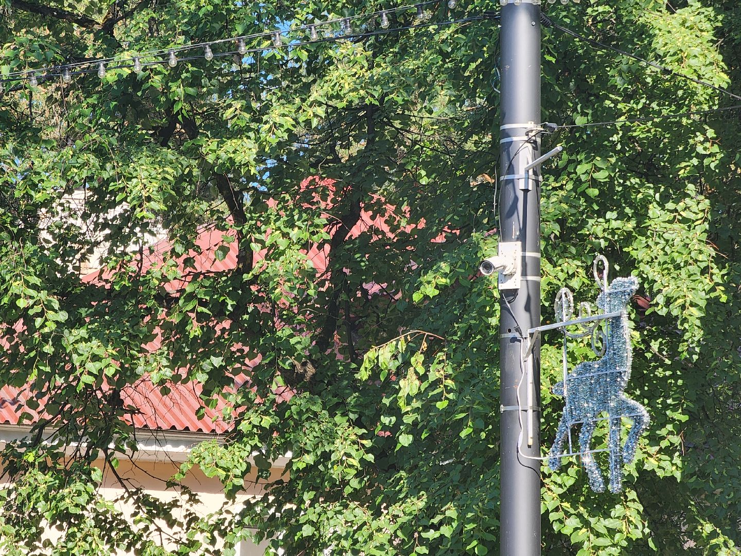 Дубна, Камеры видеонаблюдения, Безопасный регион, Безопасность,